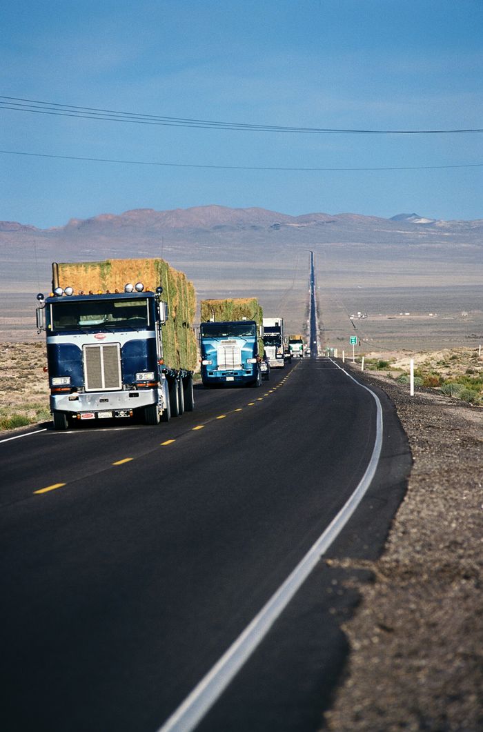 about-img Line of semi-trucks driving on a desert highway near Fallon, Nevada, under a clear blue sky.